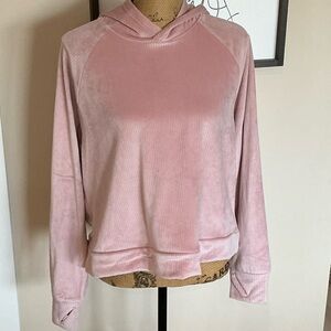 All in Motion Blush Velvet Hoodie